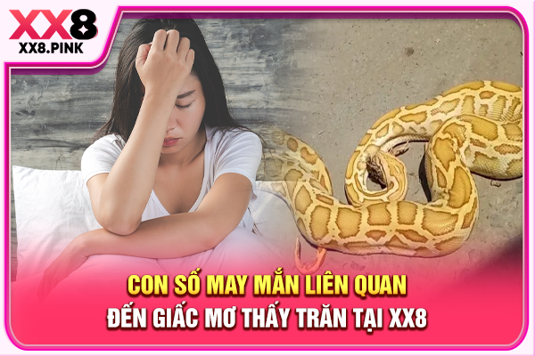 Con số may mắn liên quan đến giấc mơ thấy trăn tại XX8