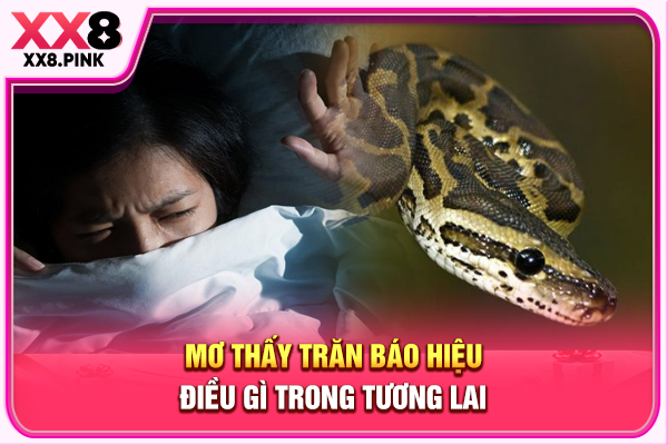 Mơ thấy trăn báo hiệu điều gì trong tương lai