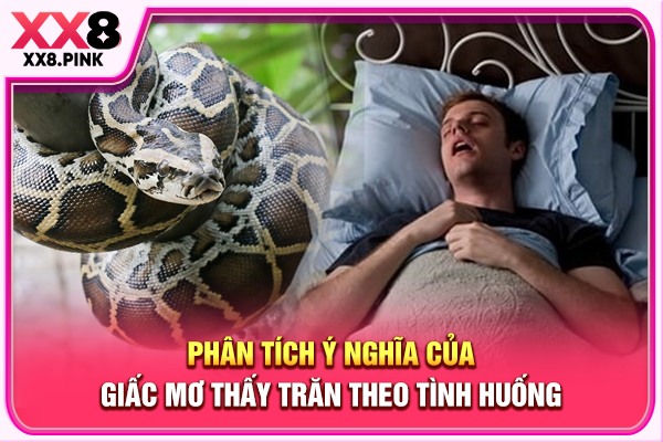 Phân tích ý nghĩa của giấc mơ thấy trăn theo tình huống